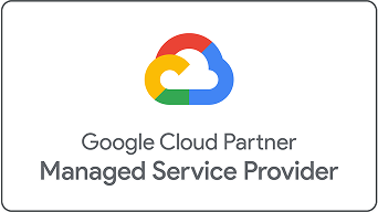 Google partner logo